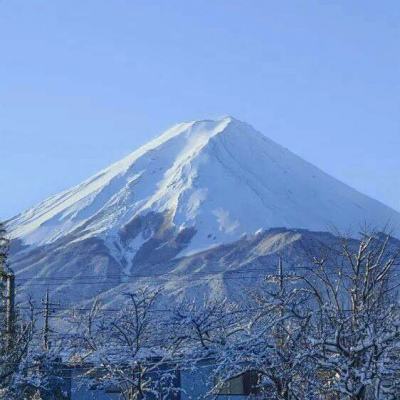九游幻剑修仙下载