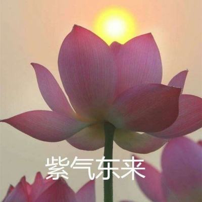 青云暮天记bt版下载
